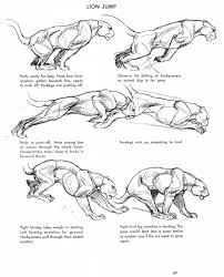 The Art Of Animal Drawing Ken Hultgren Animal Drawings Cat Anatomy Animal Sketches