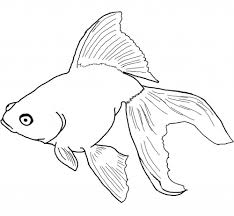 Fish Color Pages To Print Fish Coloring Page Animal Coloring Pages Whale Coloring Pages
