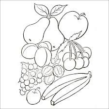17 Luxueux Coloriage Fruits Et Legumes Maternelle Photograph