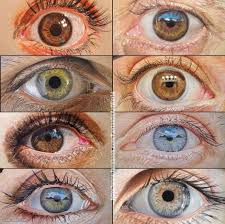 I pick the darkest brown to begin drawing the eyelids. Realistic Eye Colored Pencil Drawing Brown Leather Pencil Skirt