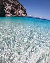 Would You Take A Dip Video Beautiful Places Nature Nature Travel Dreams