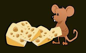 张鑫旭-鑫空间-鑫生活