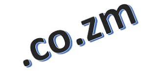 Local Domain Registration In Zambia How To Register A Co Zm Domain Techtrends Zambia
