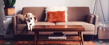 Delivery service in montreal, north shore and south shore. Lugg On Demand Moving Furniture Delivery