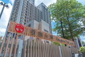 主办单位| 全球数字经济与治理工商管理博士项目