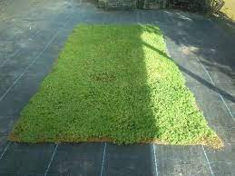 Fussmatten, schmutzfangmatte, kokosmatten, gummimatten und tuermatten fuer den eingang. Kokosmatten Als Rollenware Fur Garten Und Landschaftsbau