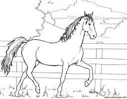 Imagenes De Caballos Para Colorear Caballo Para Colorear Dibujos De Caballos Caballos Para Dibujar Faciles