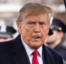 Denise Fleischer's Instagram, Twitter & Facebook