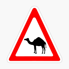 Ranchers in the western u.s. Two Humped Camel Stickers Redbubble