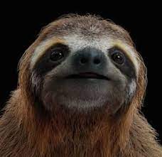 Sebuah kursi bermassa 8kg memiliki empat kaki. Sebuah Kursi Bermassa 8 Kg Memiliki Empat Kaki Luas Penampang Tiap Kaki 3 X 10 3 M2 Berapakah Brainly Co Id