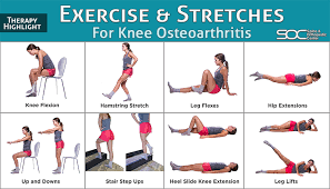 Pin On Health Tips Stop Chronic Pain Exercises Stretches Florida
