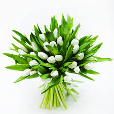 Téléchargez des photos bouquet de tulipes gratuites. Tulipes Blanches Botanica Brussels