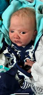 Reborn Dolls and Lifelike Baby Dolls