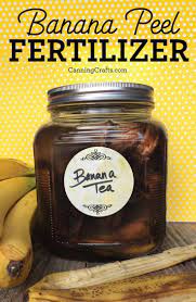 One banana shake fertilizer order coming up! Pin On Grow It Can It Eat It