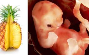 Maybe you would like to learn more about one of these? Terpaksa Gugurkan Kandungan Sharifah Sakinah Pilih Makan Nanas Untuk Keluarkannya Betul Ke Berkesan Atau Sekadar Mitos Baca Penjelasan Doktor Ini Keluarga