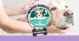 We did not find results for: Home Bowser Bubbles