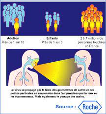 L'épidémie de grippe a qui se répend dans le monde est une grippe a. La Grippe Saisonniere Est Arrivee En France