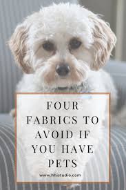 Have A Dog Avoid Using These 4 Types Of Fabrics On Your Furniture I M A Fellow Dog Mom An Pet Friendly Furniture Pet Friendly Fabric Pet Friendly Living Room