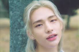 He is a member of the boy group. Watch Stray Kids Hyunjin Releases Beautiful Self Composed Song Dedicated To His Late Dog Soompi