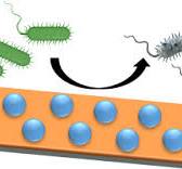 Engineering antimicrobial surfaces by harnessing polymeric ...