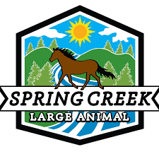 We also drove over to tishomingo state park to hike. Pet Wellness Center Home Facebook