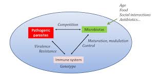 Symbiosis And Parasitism Encyclopedia Of The Environment