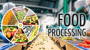 استراتژی بازاریابی هوشمند برای صنایع غذایی آینده نوشته دکترمازیارمیراولین مشاورتخصصی برندسازی غذایی ایران