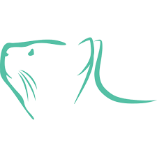 Check spelling or type a new query. Vet Expert Diagnostics Vet Expert Diagnostics