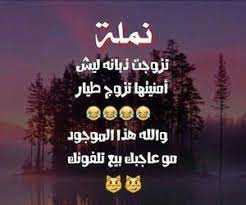 desertrose ههههههه funny study quotes fun quotes funny jokes quotes