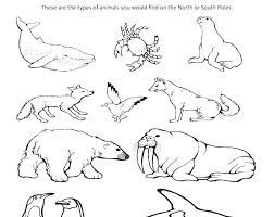 If so then you're going to love this collection of coloring pages. Arctic Animal Coloring Pages Free Hare Page Boxo Club Arctic Animals Coloring Pages Google Sok Polar Animal Coloring Pages Coloring Pages Bear Coloring Pages