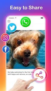 Best instagram video downloader online. Video Downloader For Instagram Mod Apk 1 05 20211107 Unlocked Pro
