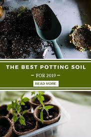 Best Potting Soil For Indoor Plants Gardening Indoors Has Become A Trend Everyone Follows The Plants And Flowers Are Potting Soil Garden Nook Healthy Plants