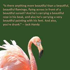 Pin By Bonnie Ferrante On Humor Funny Deep Thoughts Deep Thoughts Jack Handy Jack Handy Quotes