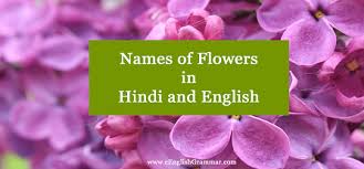 Please find below an extensive list of flower names, firstly by common name and then their botanical equivalent. List Names Of Flowers In Hindi And English Eenglishgrammar Com