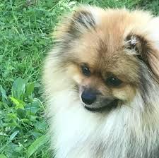 Le domaine de sandrella