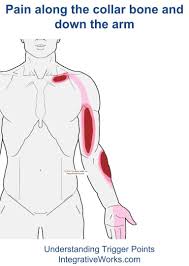 Pin On Reflexology