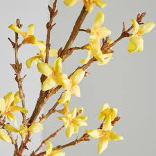 Forsythia Artificial Flower Stem Reviews Crate And Barrel Artificial Flowers Artificial Plants Forsythia