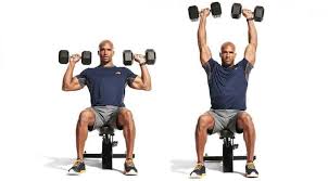 On Anterior Detoid Orta Lateral Deltoid Arka Pasterior Fitness Programlari Tum Vucut Egzersizleri Vucut Egzersizleri