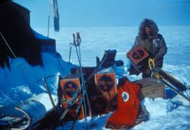 Image result for Arctic White 1968 Snowmobile