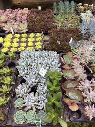 We did not find results for: Perdue S Flowers 7851 Pine Forest Rd Pensacola Fl Nurseries Mapquest