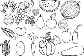 Learning about fruits or are just fruit lovers? Coloring Page Set Of Different Fruits And Vegetables Stock Vector Illustration Of Organic Background 165900640