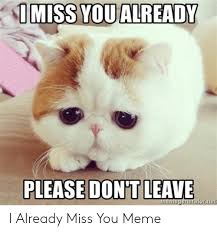 Miss You Already Please Don T Leave Memegeneratornet I Already Miss You Meme Meme On Me Me