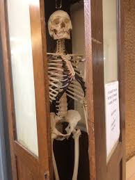 What does skeletons in the closet mean. Skeletons In The Closet Josephine Ensign