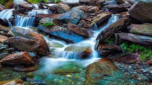 Pin On Bing Images
