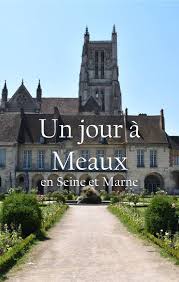 Un Jour A Meaux En Seine Et Marne Ville France Ville Medievale Blog Voyage