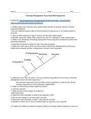 Phylogenetic Tree Worksheet Click And Learn Name Block Date Creating Phylogenetic Trees From Dna Sequences Student Worksheet Click On The Following Course Hero