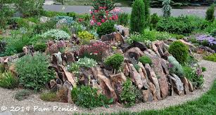 Crevice Gardens To Crave At The Garden Of Carol Shinn Denver Garden Bloggers Fling Digging