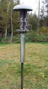 Bird Feeder Pole With Baffle Bird Feeder Pole Baffle Bird Feeder Poles Bird Feeders Bird Feeder Baffle