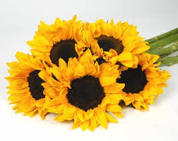 Whether it's a birthday celebration, an anniversary, or just because, we have just the thing. Sunflower Bouquet 5 Stem Kroger