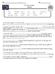 The nervous system is perhaps the most important part of the body. Nervous System Quiz By Guidance And Growth Teachers Pay Teachers